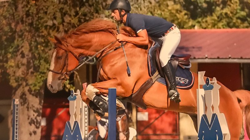 Écuries du petit pin - photo 1