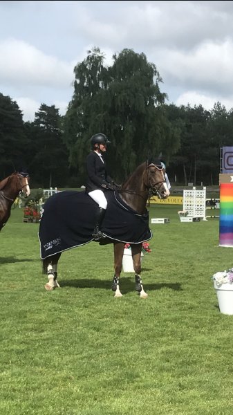 Écuries du petit pin - photo 3