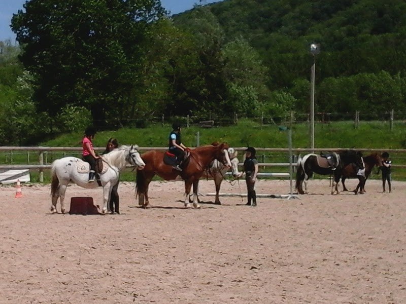 EARL LES ECURIES DU LAC BLEU - photo 1