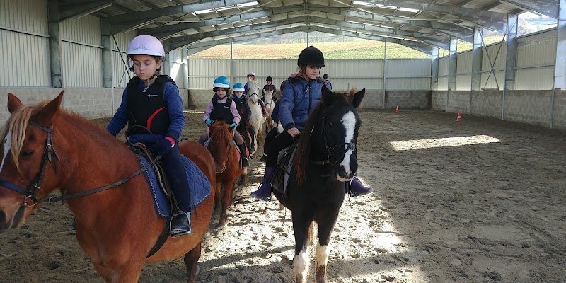 EARL LES ECURIES DU LAC BLEU - photo 2