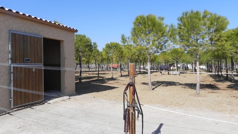 Ecuries Saint Martin du Pin