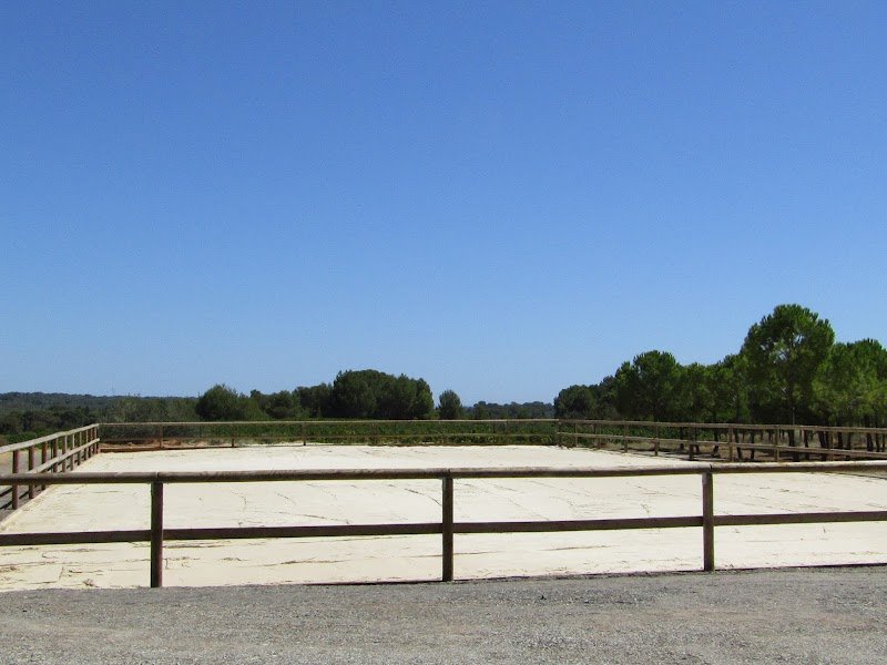 Ecuries Saint Martin du Pin - photo 2