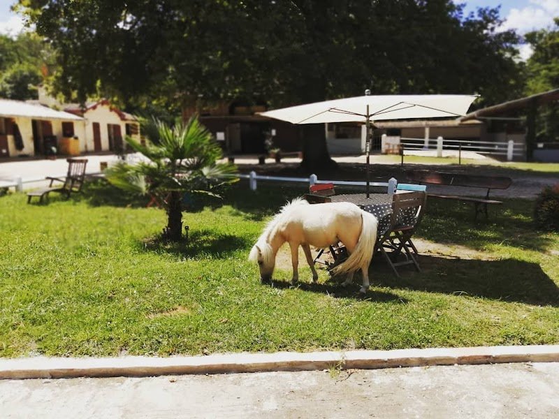 Écuries des Pins - photo 2