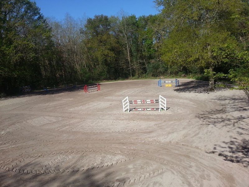 Écuries des Pins - photo 3