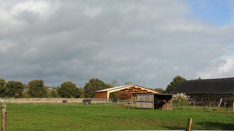 Centre equestre - Les ecuries de mandy (44540) - photo 3
