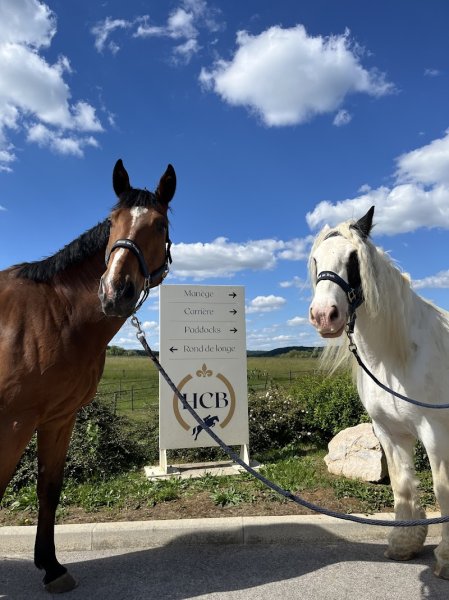 Haras du Chêne Bénit - photo 3