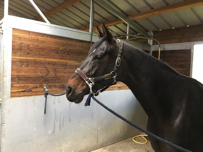 ECURIE DE LAUZ - photo 2