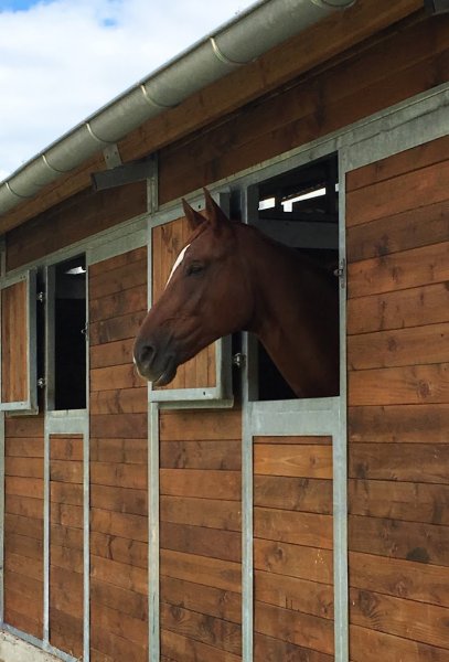 ECURIE DE LAUZ - photo 3