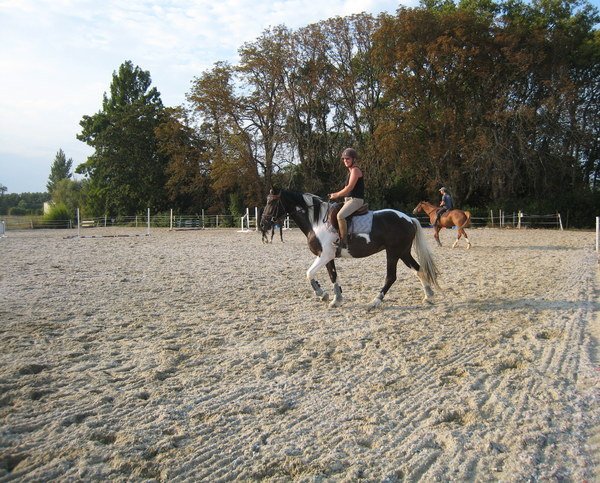Les ecuries de Conques - photo 2
