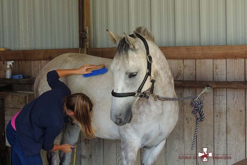 Ecurie Francjoie - photo 2