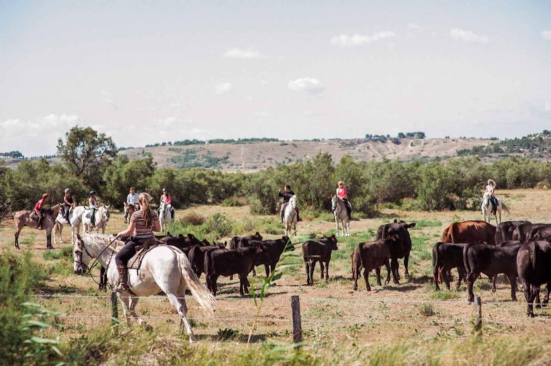 Ecurie de la Bâtisse - photo 2