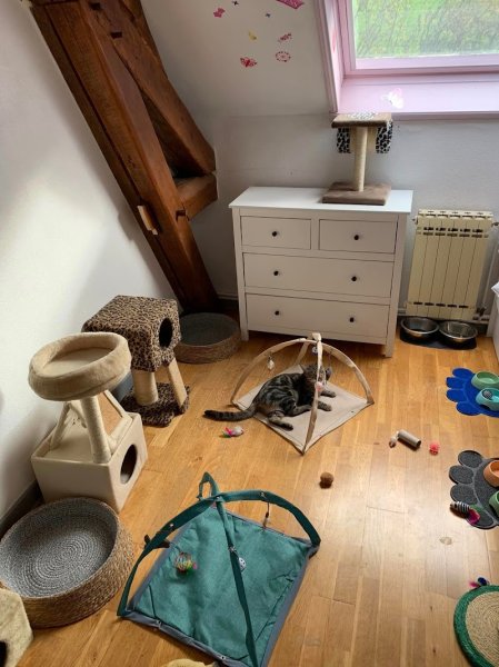 la pension de Titoune - photo 1