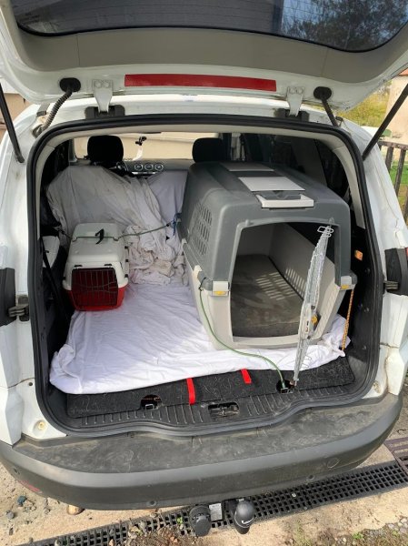 la pension de Titoune - photo 3