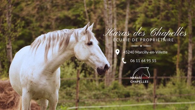 Haras des Chapelles - photo 1