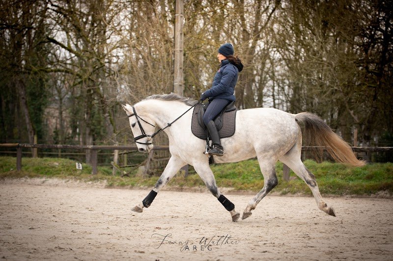 Haras des Chapelles - photo 3