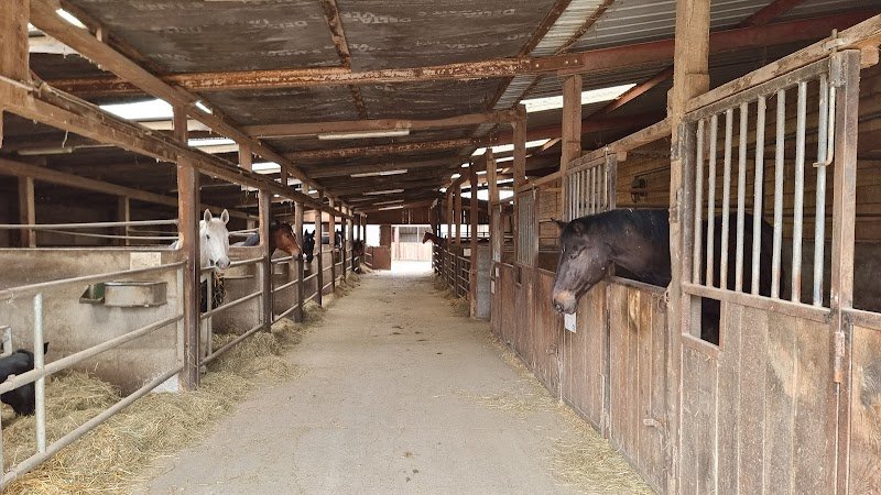Écurie de la Chapelle - photo 2