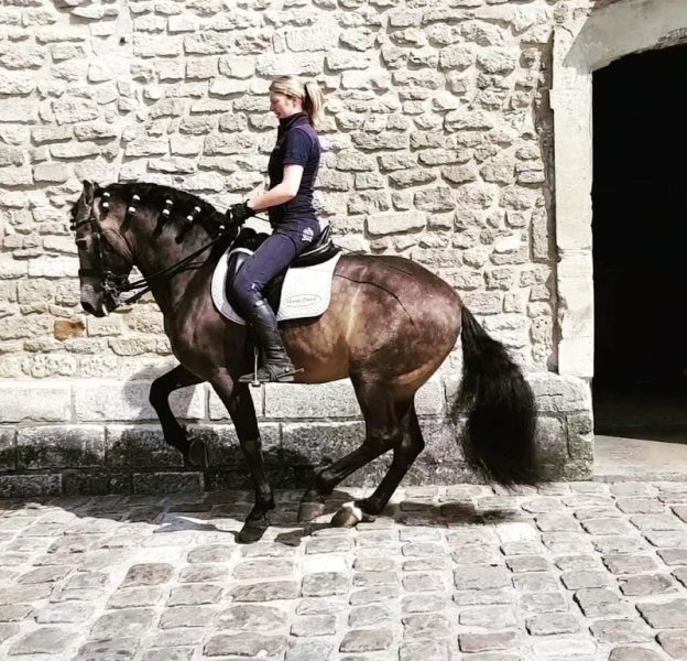 Ecurie de la Chapelle