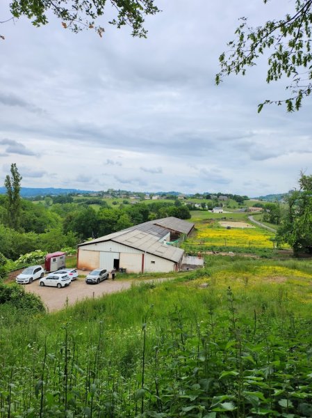 Ecurie de Léon - photo 1