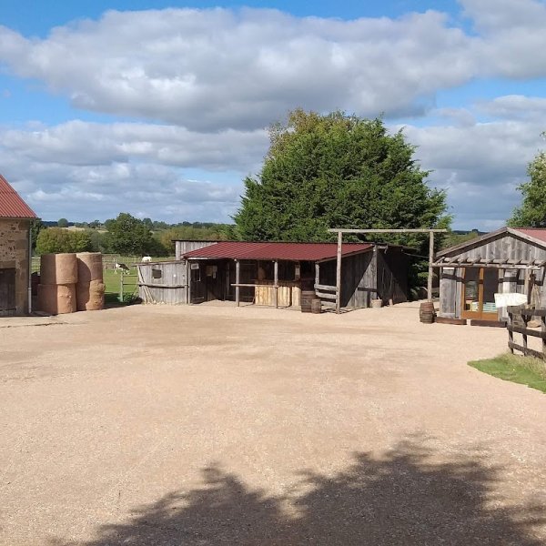 Country Pony Ranch - photo 2