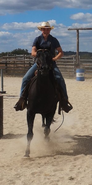 Country Pony Ranch - photo 3