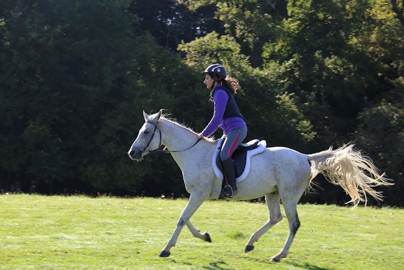 Ferme équestre des Ribieres - photo 2