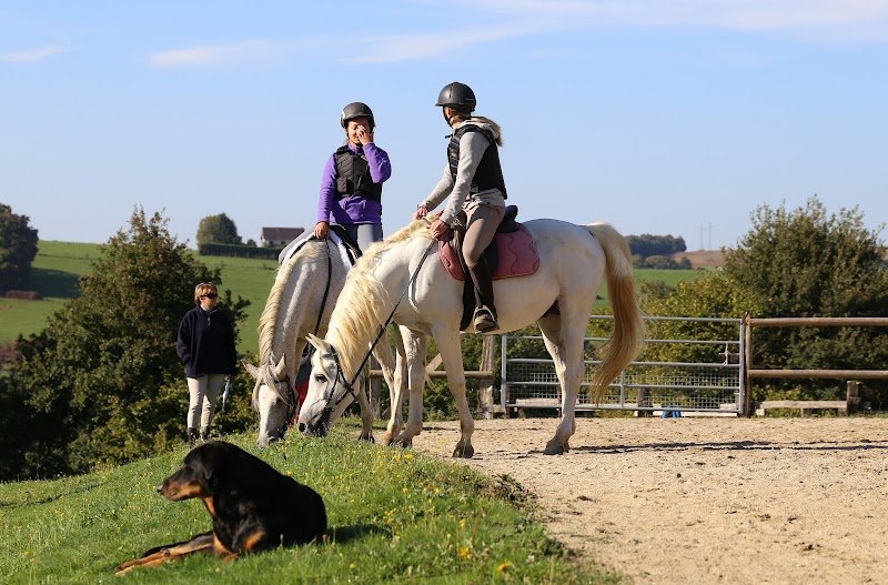 Ferme équestre des Ribieres - photo 3