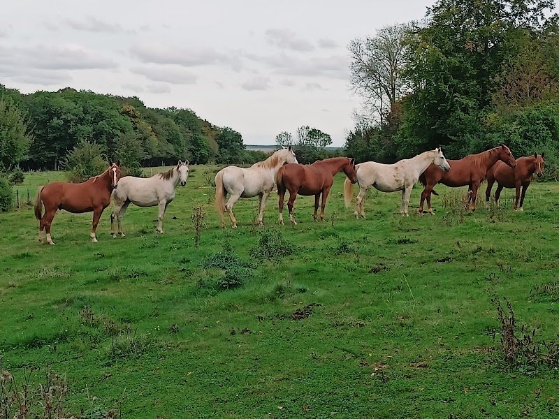 Ecurie de la Charme