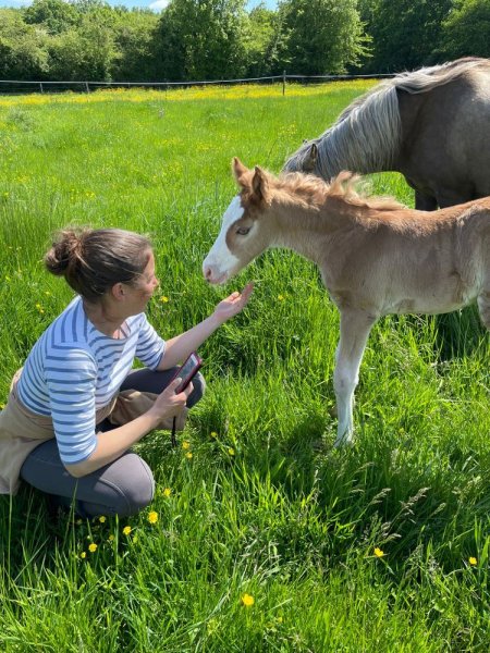 Ecuries de Gautray - photo 1
