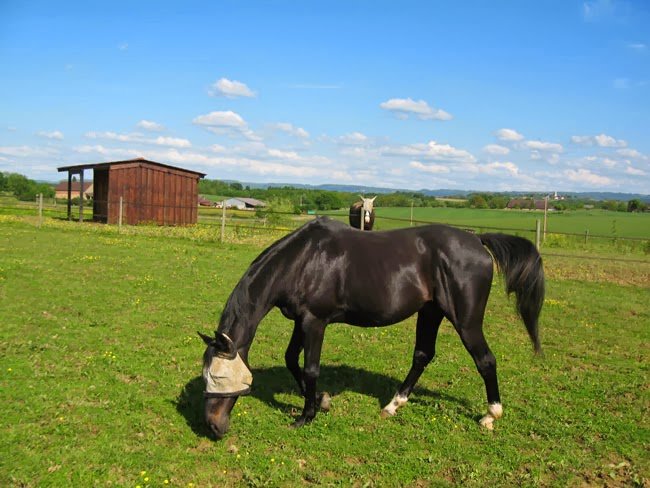 Les Ecuries du Colombier