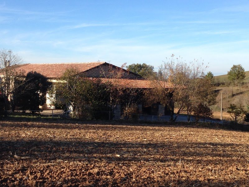 Écurie et Élevage de Ronel - photo 1