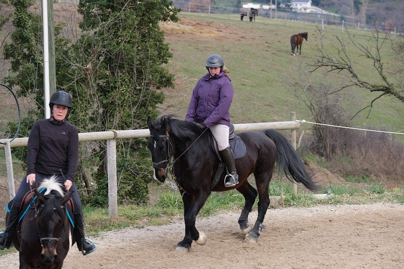 les écuries du richardon