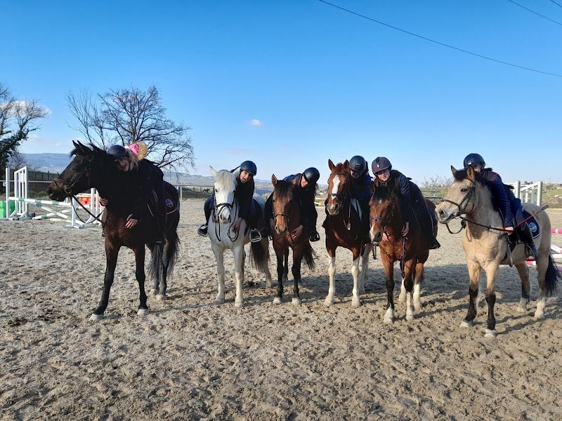 les écuries du richardon - photo 2