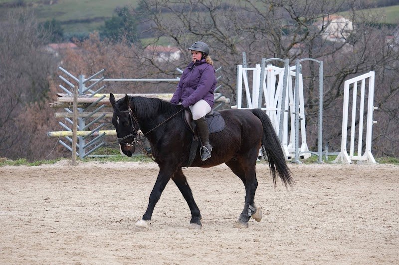les écuries du richardon - photo 3