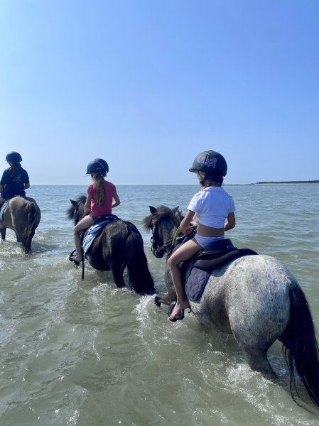 Ecurie Du Chemin Vert - photo 1