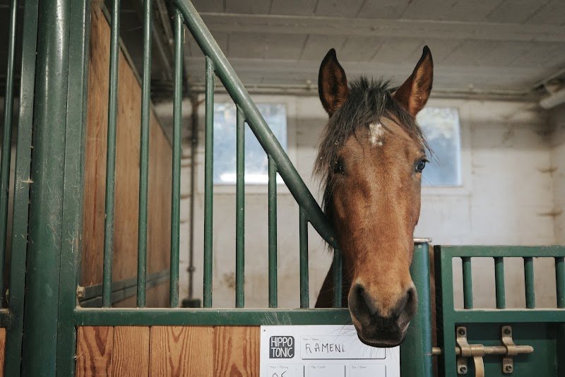 Centre équestre de Vienne Le Couzon - photo 1