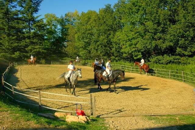 Centre équestre de Vienne Le Couzon - photo 2