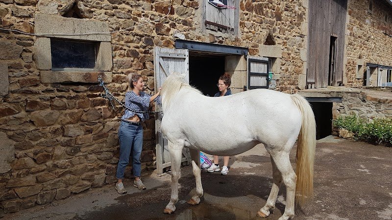 Le Haras de l'Ardisiere - photo 2