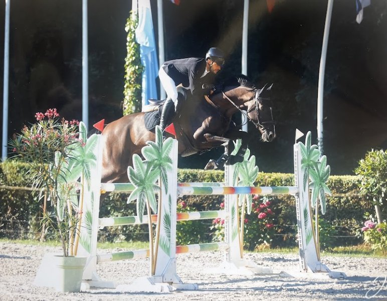 Écuries du Grand Roudié - photo 2