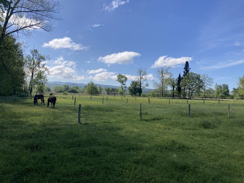 Écuries du Grand Roudié - photo 3