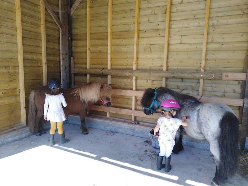 Centre équestre de Saint Félix - photo 2