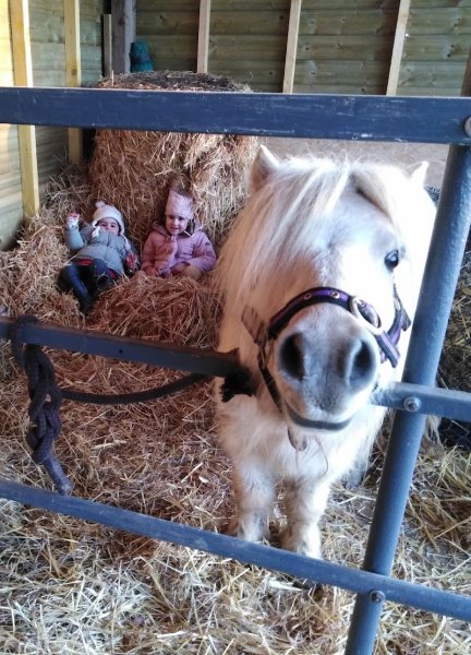 Centre équestre de Saint Félix - photo 3