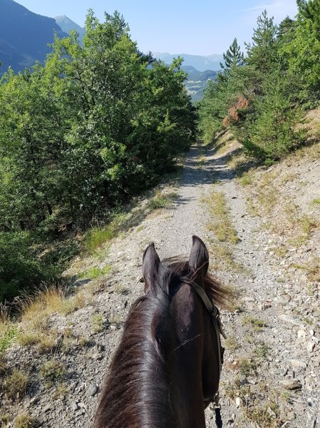 Centre Equestre du Grand Prè
