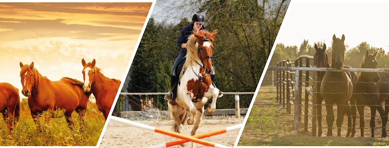 Ecurie Stéphane Luneau