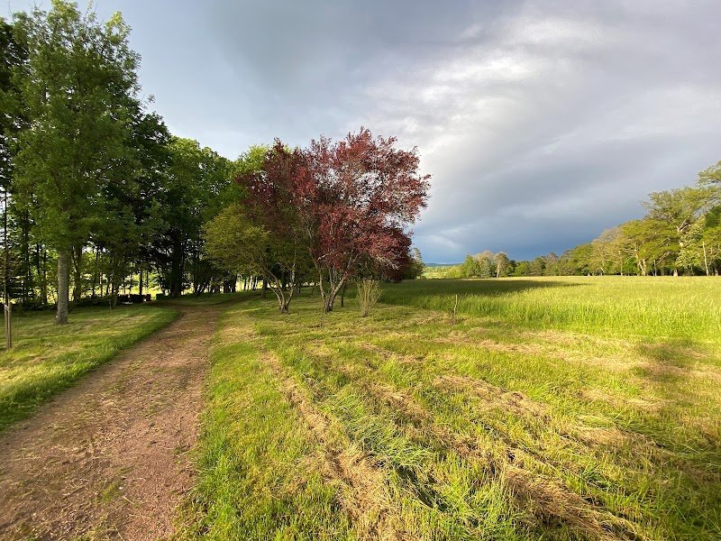 Les Ecuries de Chapaize - photo 2