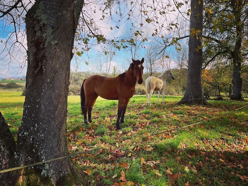 Les Ecuries de Chapaize - photo 3