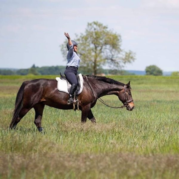 Centre Équestre-Écuries Les Bréjoires - photo 2