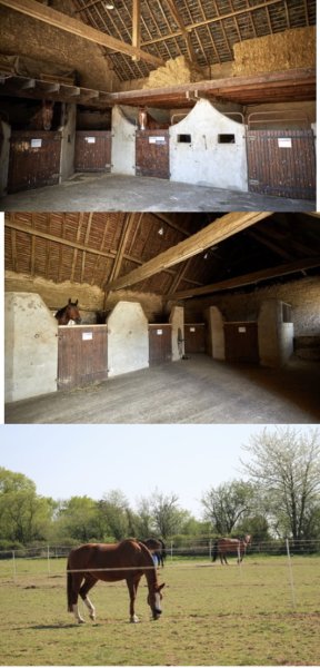 Écurie Azélie Barrat - photo 3