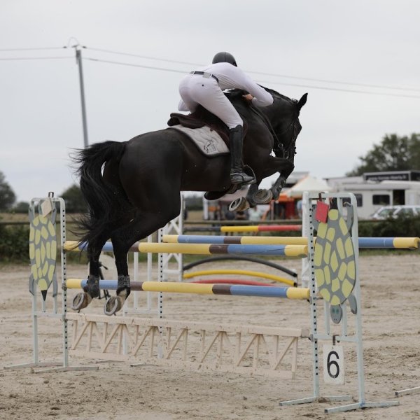 Écurie Chiesa - photo 1