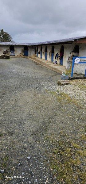 Les Ecuries du Mas - photo 2