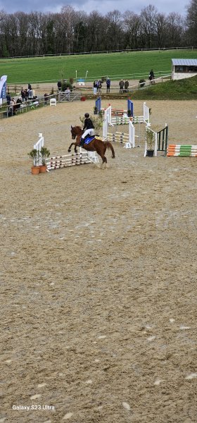 Les Ecuries du Mas - photo 3